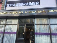 -宠爱国际动物医院· 猫科· 外科·中兽医(长白店)