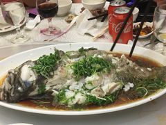 清蒸沙巴龍躉斑-海港酒家(上水新丰店)