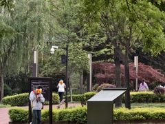 -木塔寺遗址生态公园