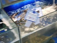 -宽广超市(承德市民族中学安定里校区店)