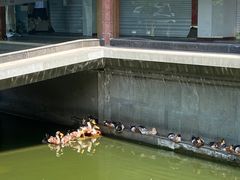 -浙江省博物馆(孤山馆区)