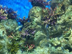 -福州罗源湾海洋世界旅游区