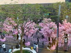 -东莞松山湖万象汇