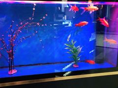 -蜀锦堂·川味现炒(襄阳武商汇店)