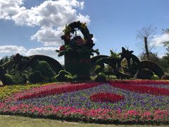-东平国家森林公园