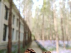 -河南省黄河迎宾馆