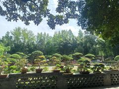 -水绘园
