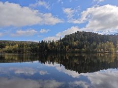 -五营红松林海景区