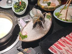 -捞王猪肚鸡火锅(昆山店)