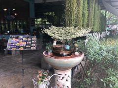 -蝶豆花蓝面条