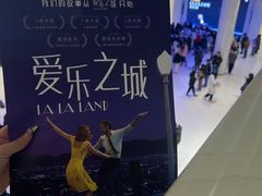 -浣熊唱片店(上海影城店)