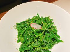 蒜泥丝瓜尖-徽镇小厨·经典徽菜(马连道店)