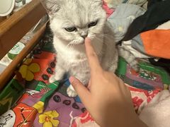 -簋街