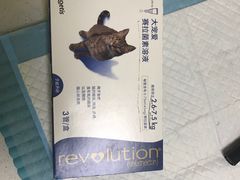 -派联宠物医院·24h·CT·异宠