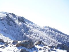 -灵山