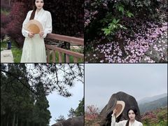-玉苍山国家森林公园