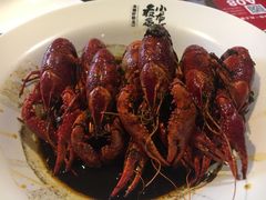-龙巢盱眙龙虾·牛蛙·烧烤宵夜(八卦岭店)
