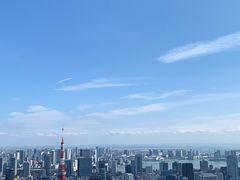 -六本木新城展望台(东京城市景观)