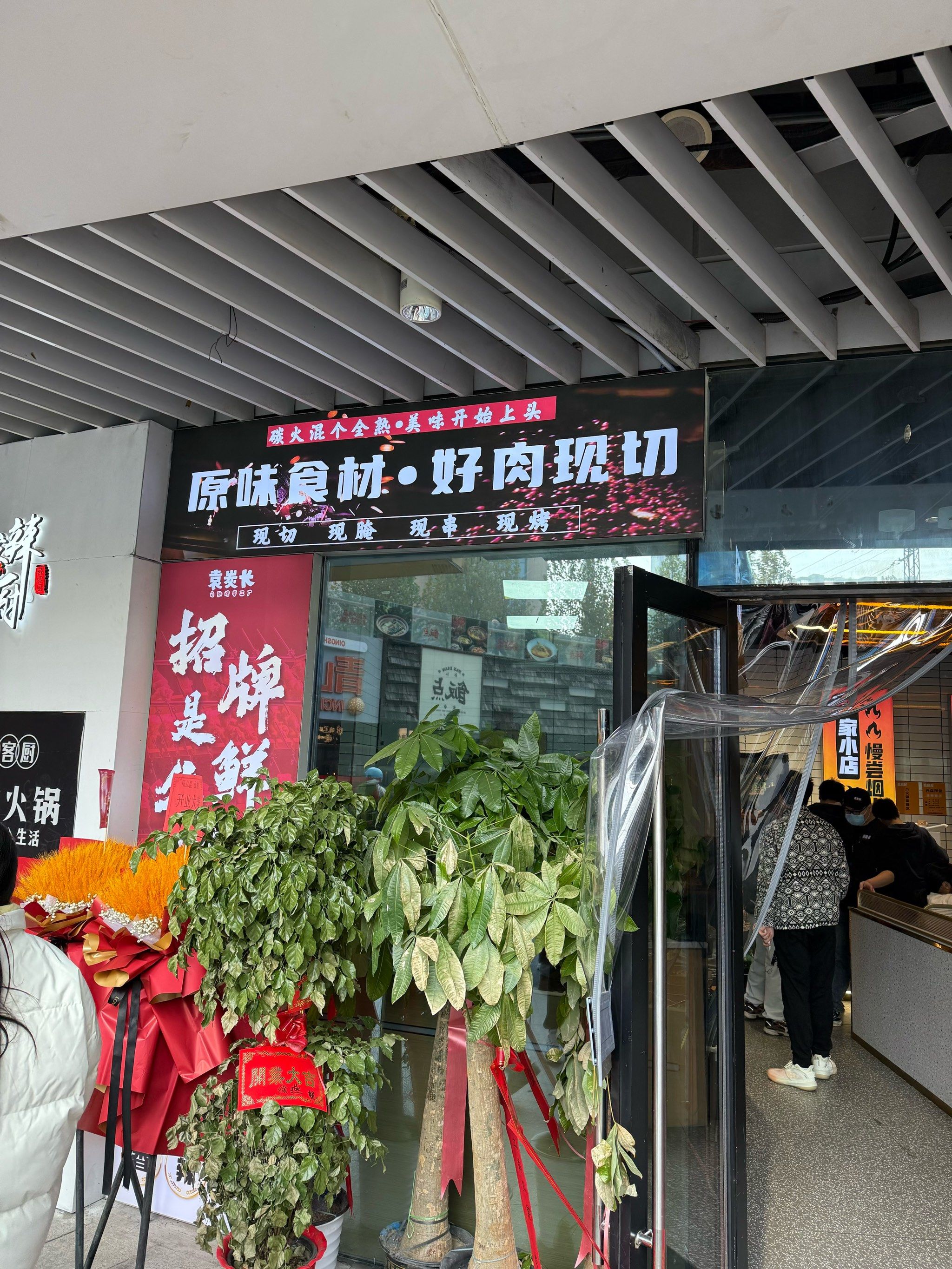 这家店的绿植真多🌿