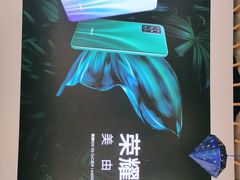 -苏宁易购(Suning Elec大连胜利广场店)