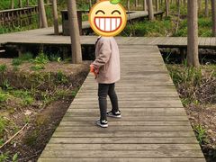 -合肥滨湖国家森林公园