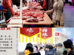 -宁波国际会展中心
