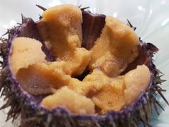 海胆-达摩君日本料理(泰海花园小区店)