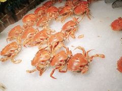 -韩风源烧烤涮自助餐厅(汝南店)
