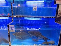 -姜君·千岛湖鱼头馆(浦东大道店)