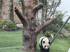 -无锡动物园·太湖欢乐园