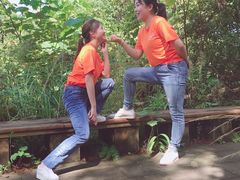 -铁山坪森林公园