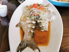-膳博士·府宴餐厅(猪猪星球店)