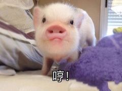 -骏骏牛肉粉店(吉庆街店)