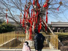 -西安汉城湖景区