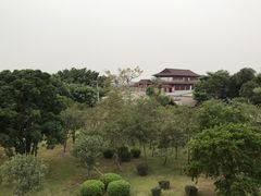 景点-大湾区中央湿地公园