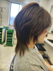-镁连社·美联社