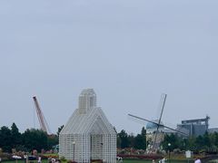 -荷兰花海