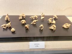 -浙江省博物馆(孤山馆区)