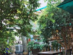 -豆舞咖啡(民乐路店)