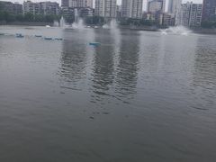 -喷泉公园
