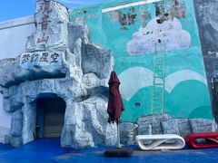 -巨鹏飞梦幻海岸