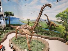 -辽宁古生物博物馆