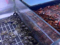 -聚盛源蒸汽海鲜火锅烤肉自助(巨川金海岸购物广场店)