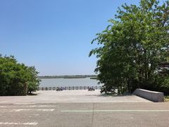 -盐城丹顶鹤湿地生态旅游区