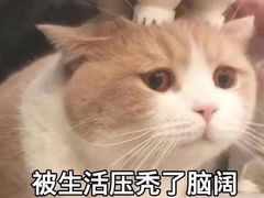 -西少爷(五道口店)