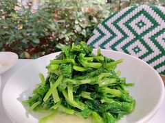 五粮液嫩豆苗-玫瑰厅上海菜(兴国路店)