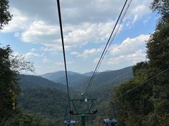 -野象谷景区