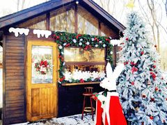 -长白岛森林公园