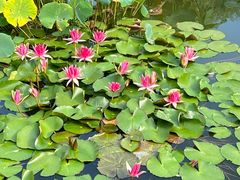 -国家植物园南园