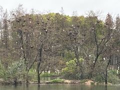 -艾溪湖湿地公园